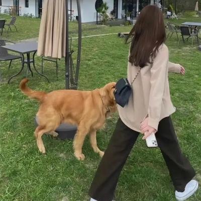 机械之声的传奇第三季